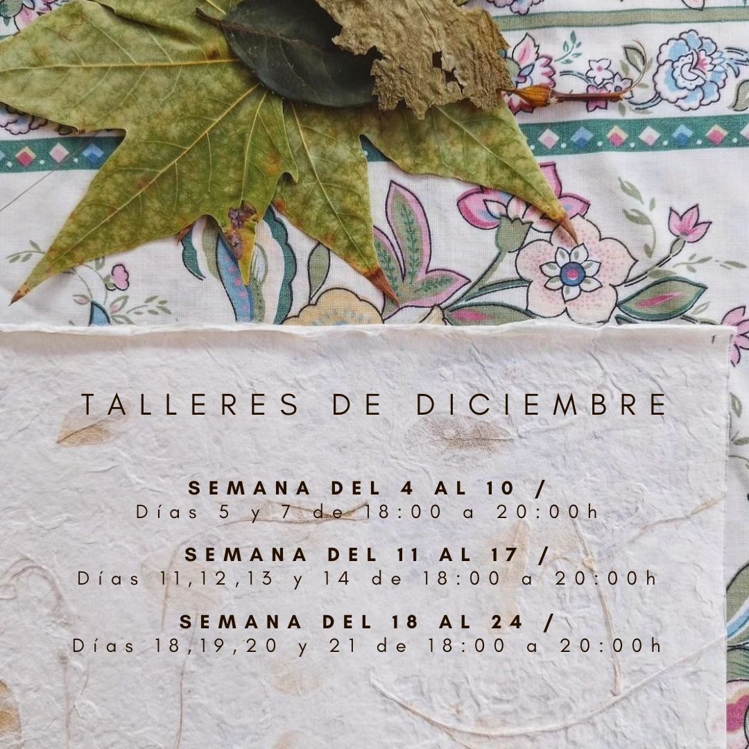 TALLERES EN DICIEMBRE